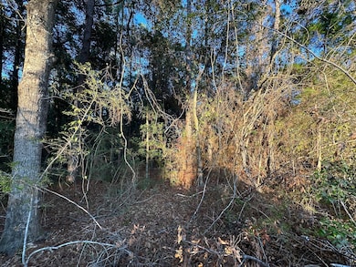 TBD E Chestnut Ave, Crestview, FL 32539 - photo 3