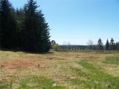 2951 Jackson Hwy, Chehalis, WA 98532 - photo 5