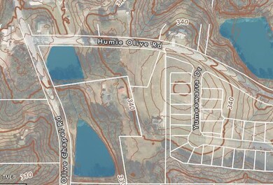 AERIAL COLOR GIS MAP