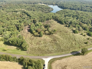 Aerial view of a nearby body of water and a forest