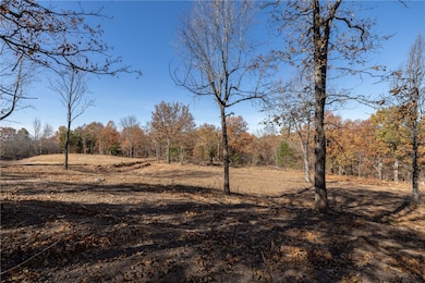 14416 Truelove Rd, West Fork, AR 72774 - photo 5