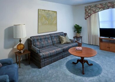 509 W Burbank St, Fredericksburg, TX 78624 - photo 7