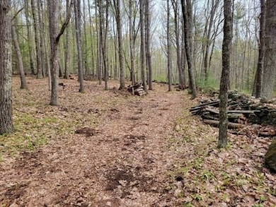 0 Carter Pond Rd, Petersham, MA 01366 - photo 3