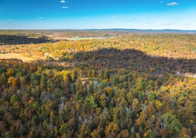 849 County Road 126, Annapolis, MO 63620 - photo 3