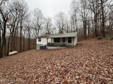 1101 Caneyville Cut Off Rd, Caneyville, KY 42721 - photo 4