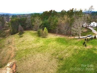 56 Tommy Ray Ridge unit 7, Weaverville, NC 28787 - photo 2