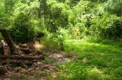 0 Mt Zion Rd Cir unit 295938, Crawfordville, FL 32327 - photo 2