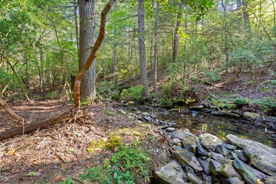 Beaten Path (27 of 42)