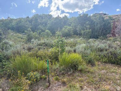 347 Juniper Dr unit 481, Fish Haven, ID 83287 - photo 4