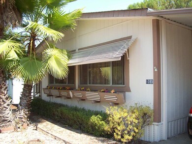 Low Maintenance Yard