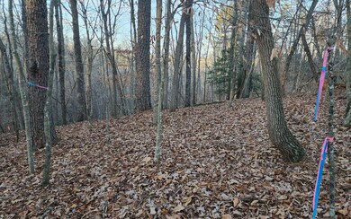 Additional View