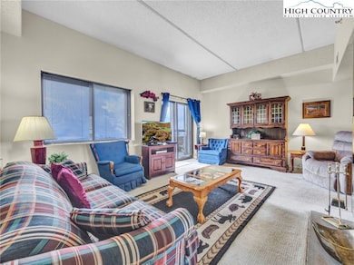 SugarTop Resort unit 2716, Sugar Mountain, NC 28604 - photo 5