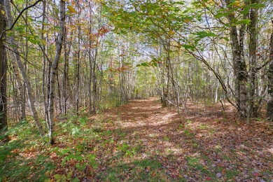 BRR Lot 05-(ZF-6235-71066-1-005)