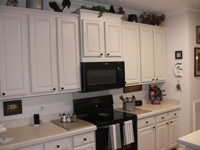 1567 Hadley Mill Rd, Pittsboro, NC 27312 - photo 7