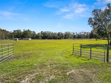 1828 Gator Creek Ranch Rd, Lakeland, FL 33809 - photo 2