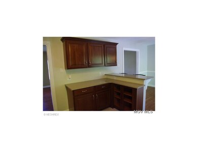 kit remolder 2010 new cabinets