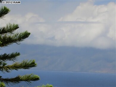 Molokai View