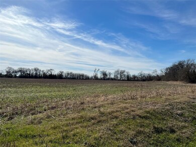 10207 W Ennis Ave, Ennis, TX 75119 - photo 7