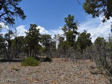 003_Sierra Pines