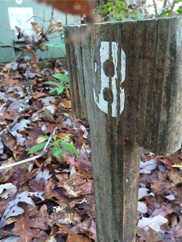 Lot 8, This stake is at the South-West corner on B