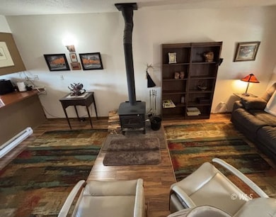 Wood Burning Stove in Living Room