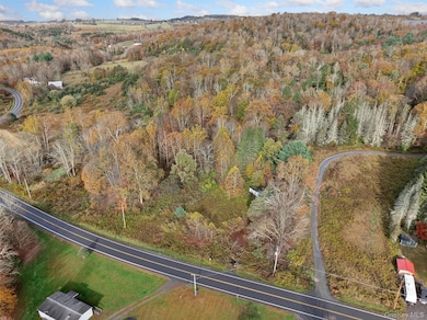 22 New York 52a, Kenoza Lake, NY 12750 - photo 4