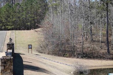 51 Bells Ln unit 51, Vincent, AL 35178 - photo 7