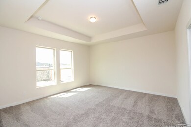 11806 Bricewood Pass, San Antonio, TX 78254 - photo 6