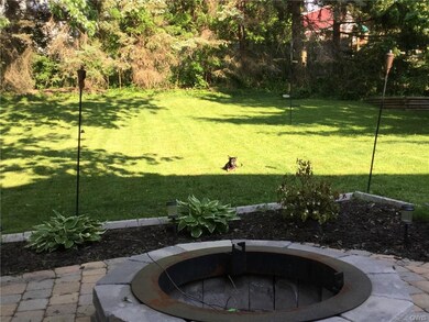 Fire Pit and Patio