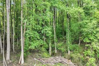 View of wooded area