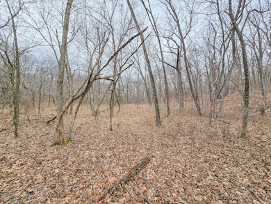 000 W Hwy, Wheatland, MO 65779 - photo 3