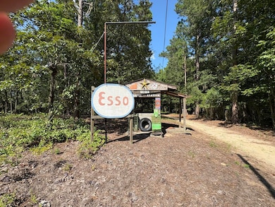 312 Weeks Landing Rd, Cameron, SC 29030 - photo 5