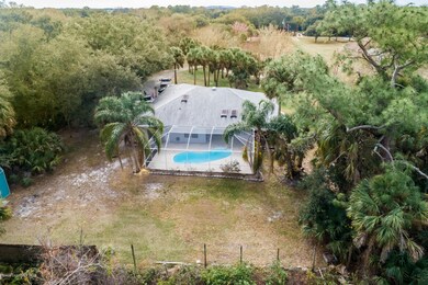 07_5340datepalm0358_mls