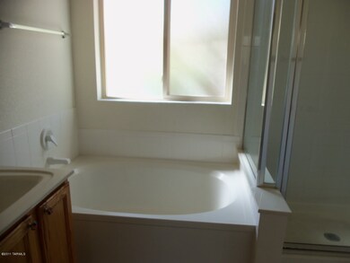 Tub in Master