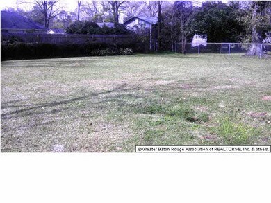 Large backyard for those summer BBQ's.