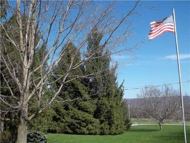 Yard/Garden