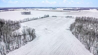 DJI_0438