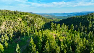 Nhn Two Creeks, Marion, MT 59925 - photo 4