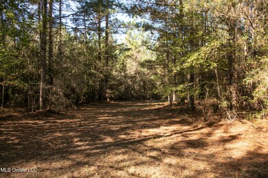 0 Union Rd, Hazlehurst, MS 39083 - photo 3