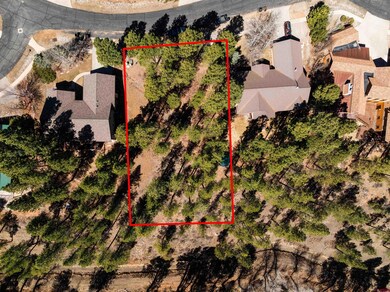 143 El Diente Dr, Durango, CO 81301 - photo 5