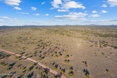 4532 E Indian Meadows Rd, Williams, AZ 86046 - photo 4