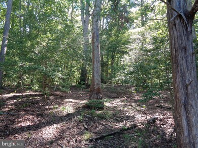 0 Clydeside Rd, South, VA 22560 - photo 5