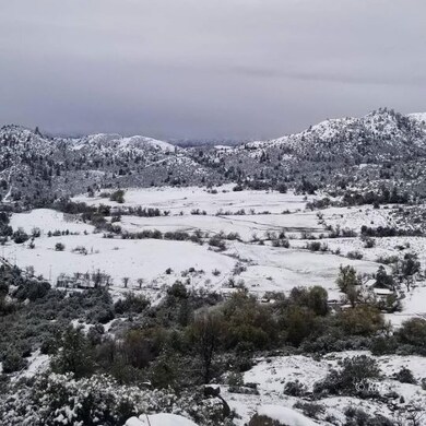 Winter Beauty