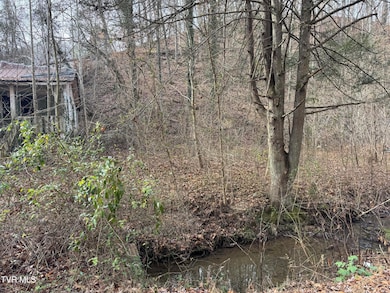 3713 Manville Rd, Gate City, VA 24251 - photo 5