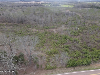 dji_fly_20250325_171150_871_174293726020