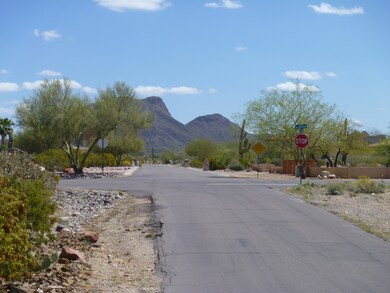 mountain views