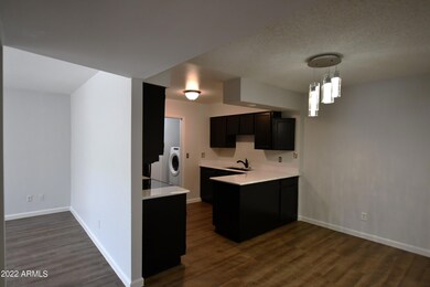 Dining and Kitchen