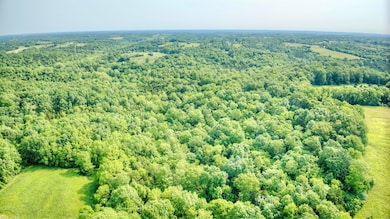 00 Peach Grove Rd, California, KY 41007 - photo 2