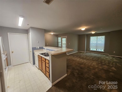 9811 Campus Walk Ln unit L, Charlotte, NC 28262 - photo 6