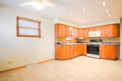 4909 N Newcastle Ave, Chicago, IL 60656 - photo 5